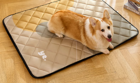 https://fulmo-img-server.com/dog-bed-lab/1729769067416_pmbwnpkg_ã¹ã¯ãªã¼ã³ã·ã§ãã 2024-10-24 201533.png